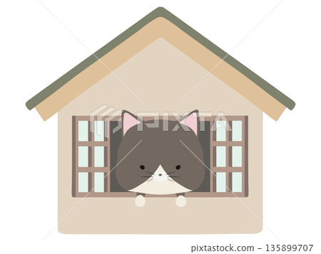 A calico cat at home A calico cat at home 135899707