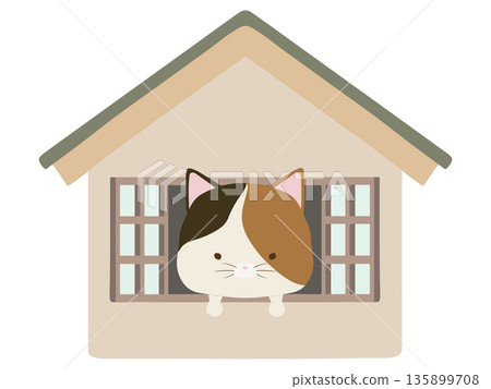 Calico cat at home 135899708