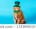 Funny ginger shorthair cat in a fancy dress. Cat in a leprechaun costume. St. Patrick's Day 135900010
