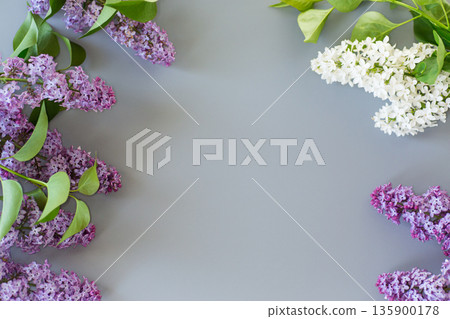 Purple lilac in a top view with empty space 135900178