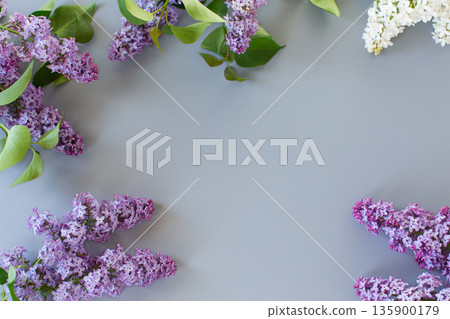 Lilac close-up from above on a gray background for inscriptions 135900179