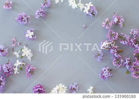 Beautiful lilac on a gray background with empty space for text Beautiful lilac on a gray background with empty space for text 135900180