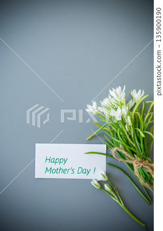 Delicate white snowdrops with a rope 135900190