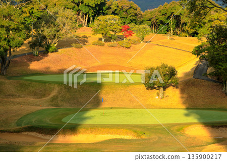 九州長崎市海洋宮高爾夫俱樂部2號短洞果嶺 135900217