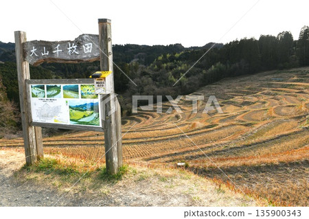 [Kamogawa City: Oyama Senmaida, 375 terraced rice fields lined up in tiers on a steep slope] 135900343