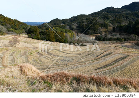 【鴨川市:大山千枚田,375層梯田層層疊疊地排列在陡峭的山坡上】 【鴨川市:大山千枚田,375層梯田層層疊疊地排列在陡峭的山坡上】 135900384