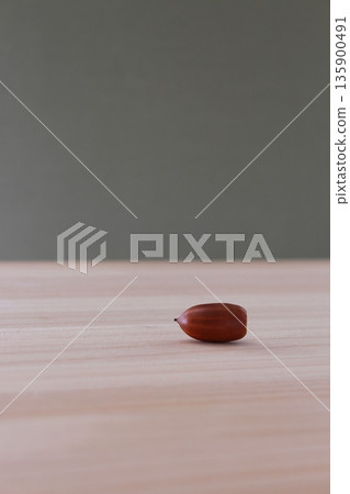 秋季圖片背景（一顆橡子特寫）[簡潔、自然、留白] 135900491