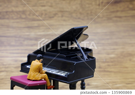 A man playing the grand piano A man playing the grand piano 135900869