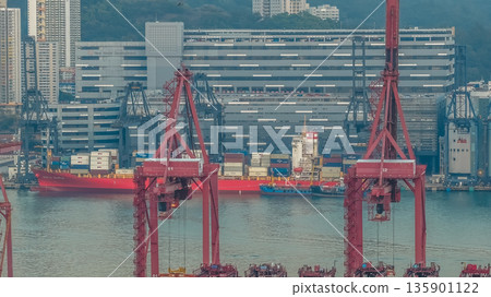 Jan 10 2026 Daylight Illuminates Tsing Yi Kwai Chung Container Terminal Jan 10 2026 Daylight Illuminates Tsing Yi Kwai Chung Container Terminal 135901122