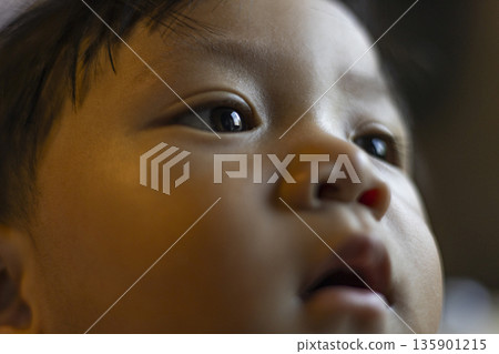 Close Up Of A Southeast Asian Toddler Face, A heartwarming photo of close up face, big curious eyes and rosy cheeks in soft natural light, for child innocence or gentle childhood documentary. 135901215