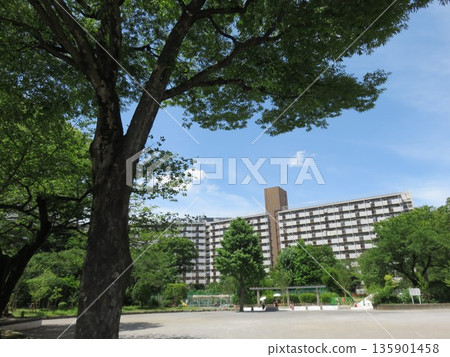 從公園看房 從公園看房 135901458