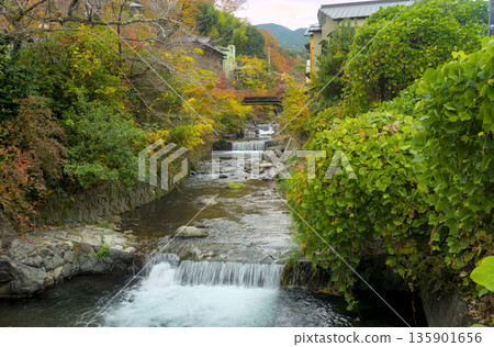 Yugawara Chitose River 135901656