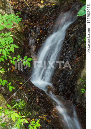 A small waterfall deep in the mountains01 A small waterfall deep in the mountains01 135902058