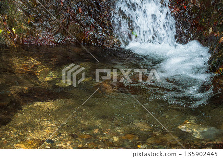 Autumn mountain - Close-up of the water surface of a mountain stream 08 135902445