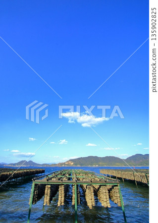 瀨戶內海牡蠣養殖(江田島市) 瀨戶內海牡蠣養殖(江田島市) 135902825