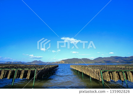 瀨戶內海牡蠣養殖（江田島市） 135902826