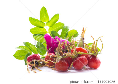 Large red rose hips isolated on white background Large red rose hips isolated on white background 135903026