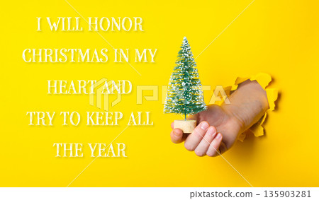 Person holding a small Christmas tree in their hand Person holding a small Christmas tree in their hand 135903281