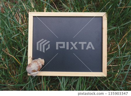 Snail on a wooden frame chalkboard with grass background and natural outdoor setting Snail on a wooden frame chalkboard with grass background and natural outdoor setting 135903347