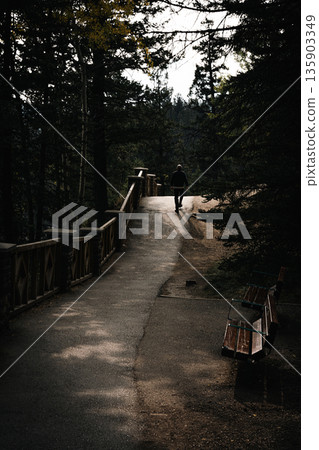 Back view of a man walking along a forest trail leading to Bow Falls in Banff National Park, Canada Back view of a man walking along a forest trail leading to Bow Falls in Banff National Park, Canada 135903349