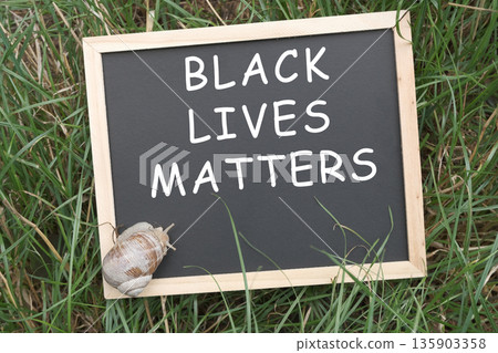 Chalkboard with the words Black Lives Matter written on it 135903358