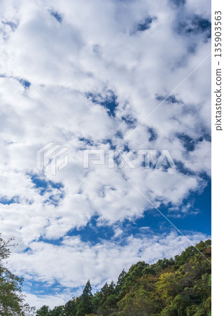 Looking up at the late autumn sky and clouds from the mountain 09 Looking up at the late autumn sky and clouds from the mountain 09 135903563