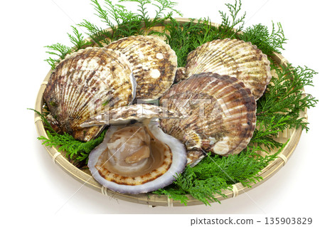 漏杓裡的三陸扇貝 135903829