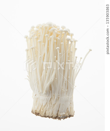 金針菇 金針菇 135903863