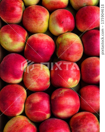 Ripe Red and Yellow Apples Background. Close-up Apple Pattern.Fresh Harvest Apples Ripe Red and Yellow Apples Background. Close-up Apple Pattern.Fresh Harvest Apples 135904618
