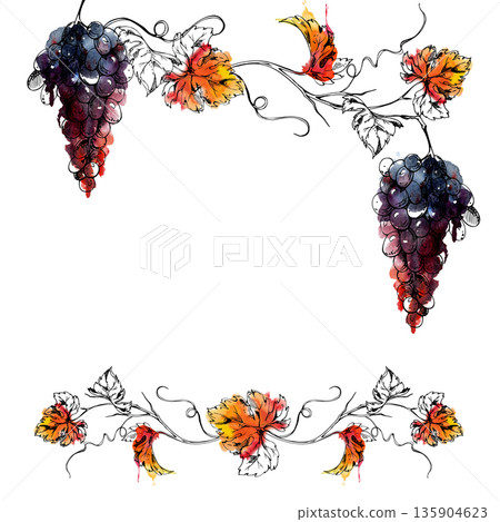Border frame with watercolor ripe grape bunches on curving grapevines with tendrils and leaves in ink linework. Culinary branding, winery product packaging trims, wine region harvest tour invitations 135904623