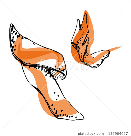 Ribbon orange peel zest with hand drawn ink outline and abstract vector fill, curled garnish for cocktail artwork, cafe menu graphics, citrus recipe collection sets, and seamless culinary patterns. 135904627