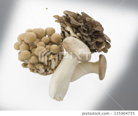 3種蘑菇 3種蘑菇 135904735
