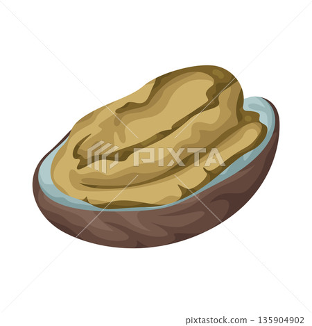 Illustration of abalone Illustration of abalone 135904902