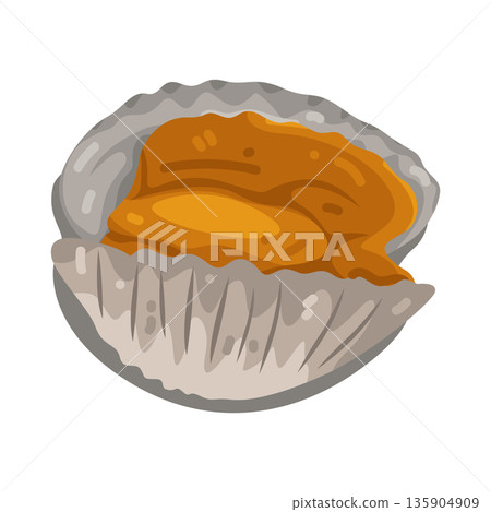 Illustration of pigeon cockle 135904909