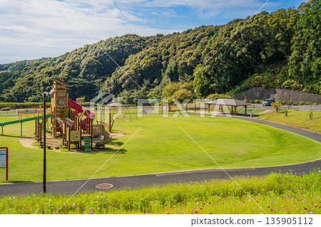 袋井市(靜岡縣)三川夢之岡公園的波斯菊風景 袋井市(靜岡縣)三川夢之岡公園的波斯菊風景 135905112