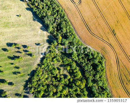 The scene shows a split landscape with a field and a forest. The land has straight lines from farming activities. Shadows from trees create patterns on the ground. The scene shows a split landscape with a field and a forest. The land has straight lines from farming activities. Shadows from trees create patterns on the ground. 135905317