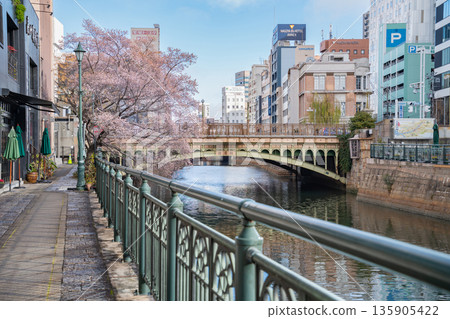 冬天的納屋橋、四季櫻盛開（愛知縣名古屋市） 135905422