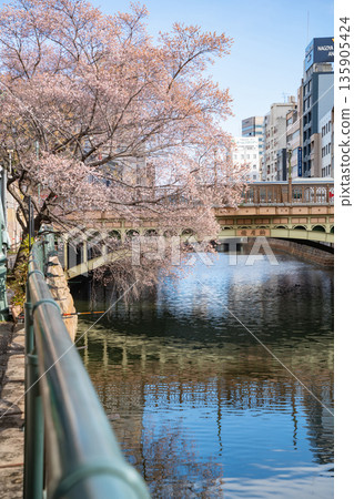 Nayabashi Bridge in winter, Shikizakura in full bloom (Nagoya City, Aichi Prefecture) Nayabashi Bridge in winter, Shikizakura in full bloom (Nagoya City, Aichi Prefecture) 135905424
