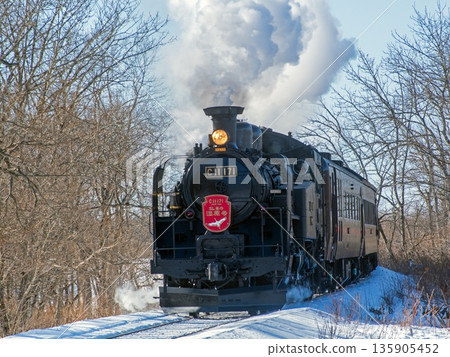 Steam Locomotive Winter Wetlands, near Toro Station 135905452