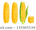 Fresh corn illustration 135905539