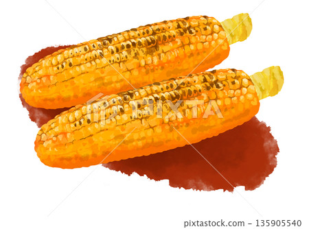 grilled corn illustration grilled corn illustration 135905540