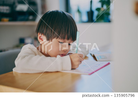 Boy studying 135905796