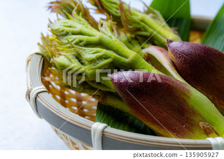 [春天的味道] 山菜之王，塔拉納（辣鱈魚芽）[長野縣] 135905927