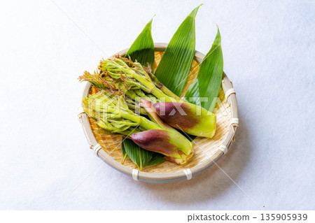 [春天的味道] 山菜之王，塔拉納（辣鱈魚芽）[長野縣] 135905939