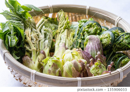 Assorted wild vegetables: taros, kogomi, koshiabura, and butterbur Assorted wild vegetables: taros, kogomi, koshiabura, and butterbur 135906033
