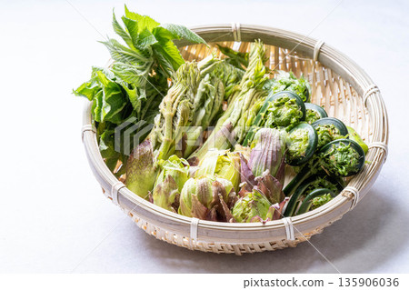 各種野生蔬菜:楤木芽、小莧菜、越紫莧菜和蜂斗菜。 各種野生蔬菜:楤木芽、小莧菜、越紫莧菜和蜂斗菜。 135906036