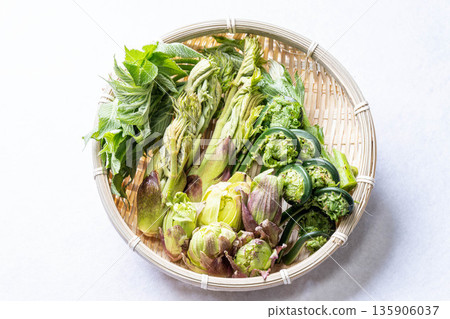 Assorted wild vegetables: taros, kogomi, koshiabura, and butterbur Assorted wild vegetables: taros, kogomi, koshiabura, and butterbur 135906037
