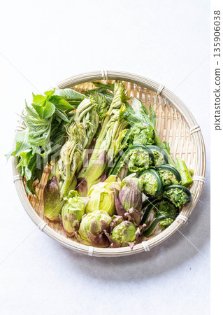 Assorted wild vegetables: taros, kogomi, koshiabura, and butterbur Assorted wild vegetables: taros, kogomi, koshiabura, and butterbur 135906038