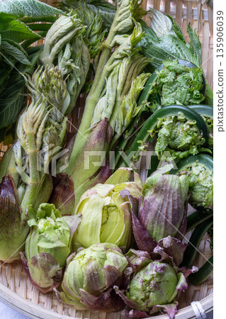 各種野生蔬菜:楤木芽、小莧菜、越紫莧菜和蜂斗菜。 各種野生蔬菜:楤木芽、小莧菜、越紫莧菜和蜂斗菜。 135906039