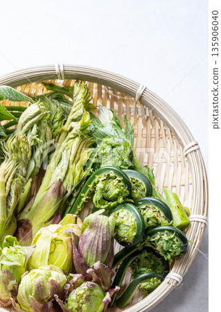 Assorted wild vegetables: taros, kogomi, koshiabura, and butterbur Assorted wild vegetables: taros, kogomi, koshiabura, and butterbur 135906040